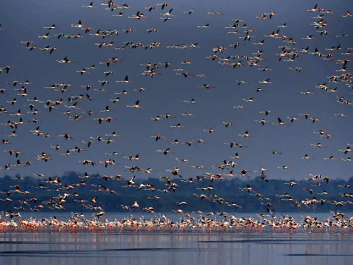 Pulicat Lake