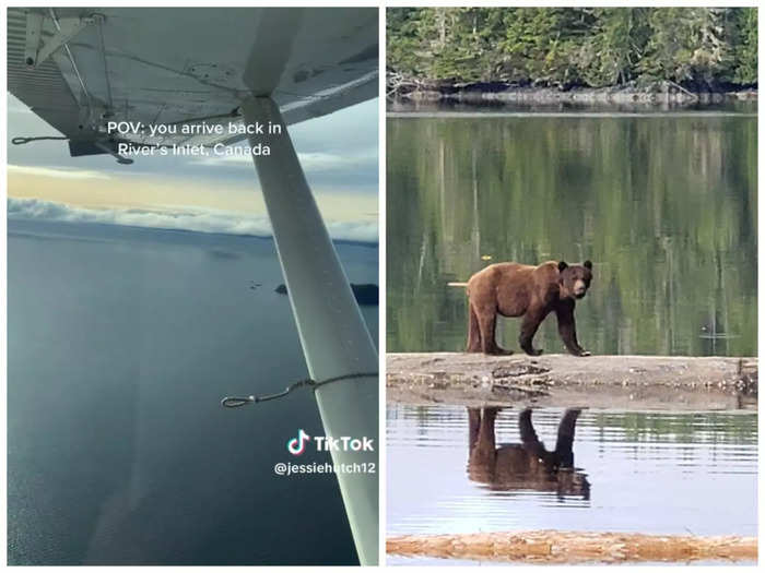 The couple flew into Rivers Inlet by float plane, as there is no road access, and had dinner with a bear on their first night.