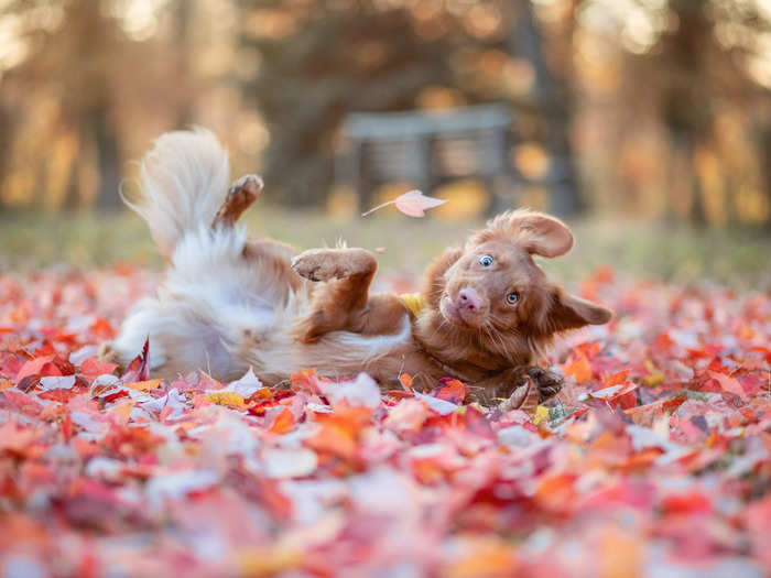 "My Face When My Crush Says Hi" by Kerstin Leichtenmüller