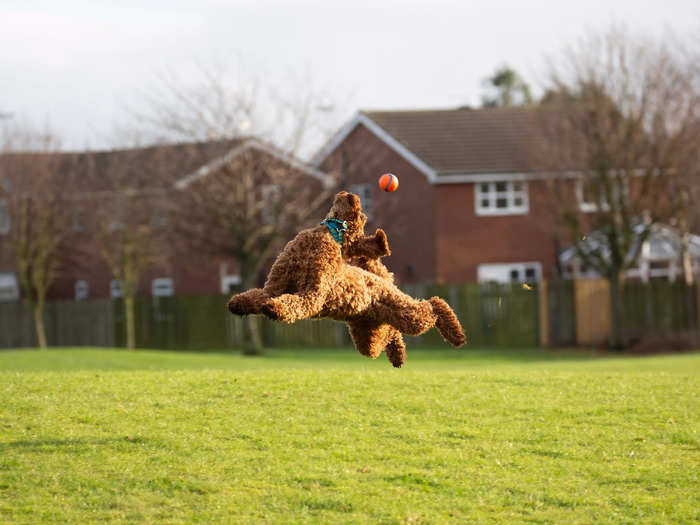 "Keep Your Eye On The Ball" by Gill Woodcock