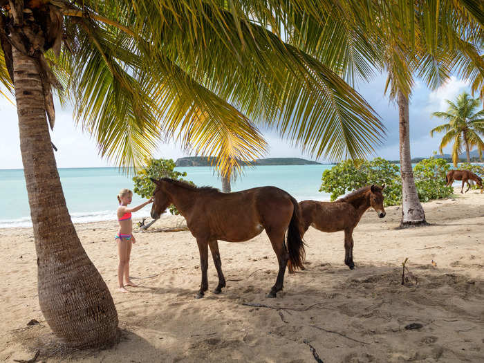 Cruisers could also visit a port in Puerto Rico.