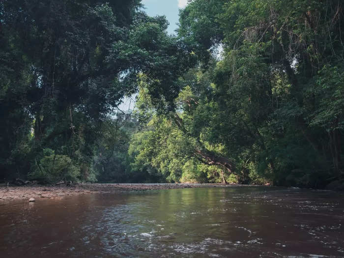 Taman Negara National Park