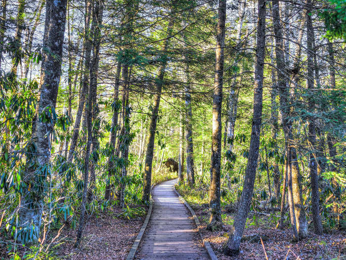 Spend your nights gazing at the stars in Pocahontas County, West Virginia.