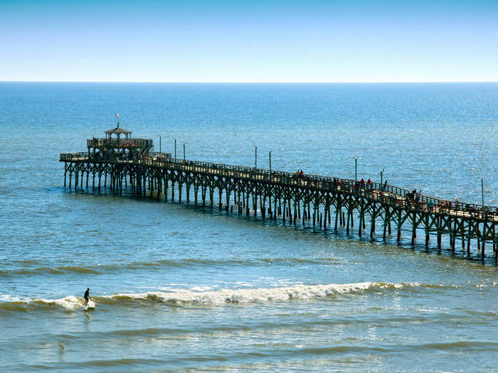 See local wildlife from a hiking trail or kayak in North Myrtle Beach, South Carolina.