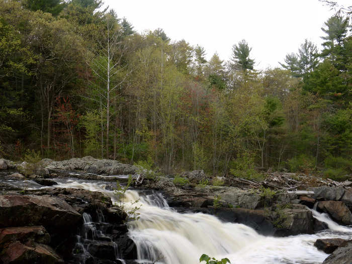 Go mountain biking on a scenic trail and picnic in a pollinator garden in Nashua, New Hampshire.