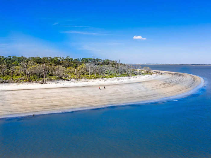 Head to Jekyll Island, Georgia, where you can support conservation efforts while enjoying up-close encounters with wildlife.