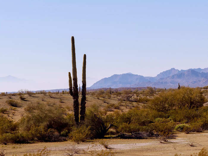 Mesa, Arizona, can satisfy sustainable foodies with a weekend at biodynamic farms, plus a bonus wind-cave tour.