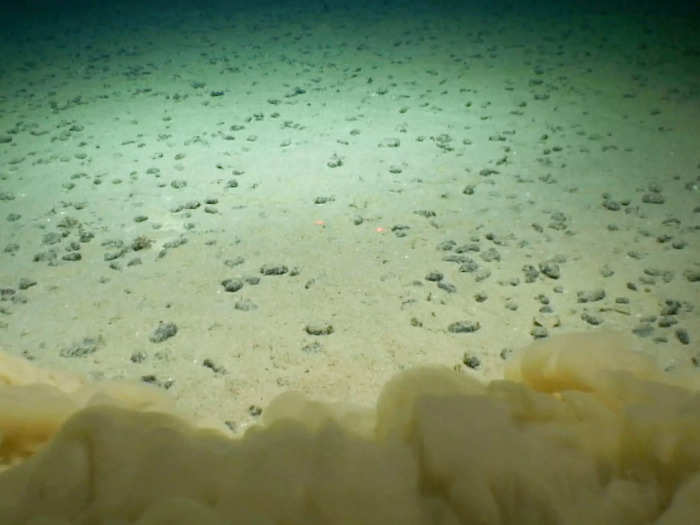 The process of deep-sea mining creates clouds of sediment above the normally clear seabed.