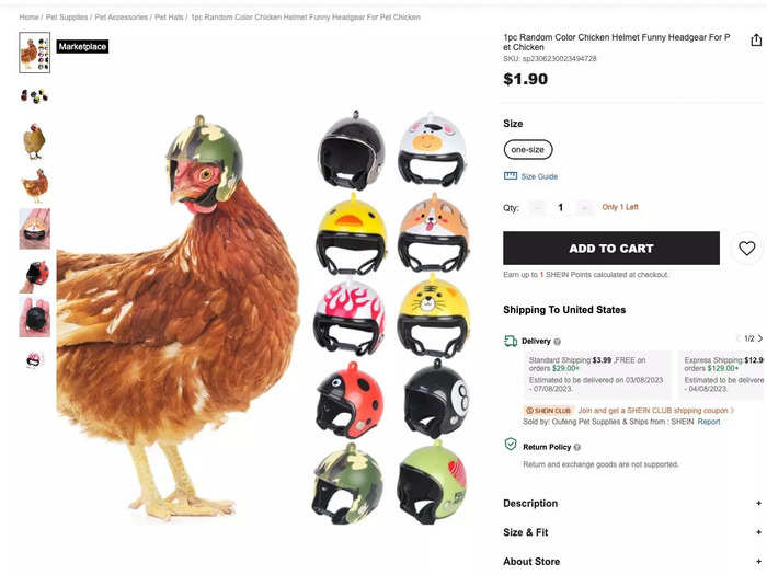 Or a helmet for your chicken.