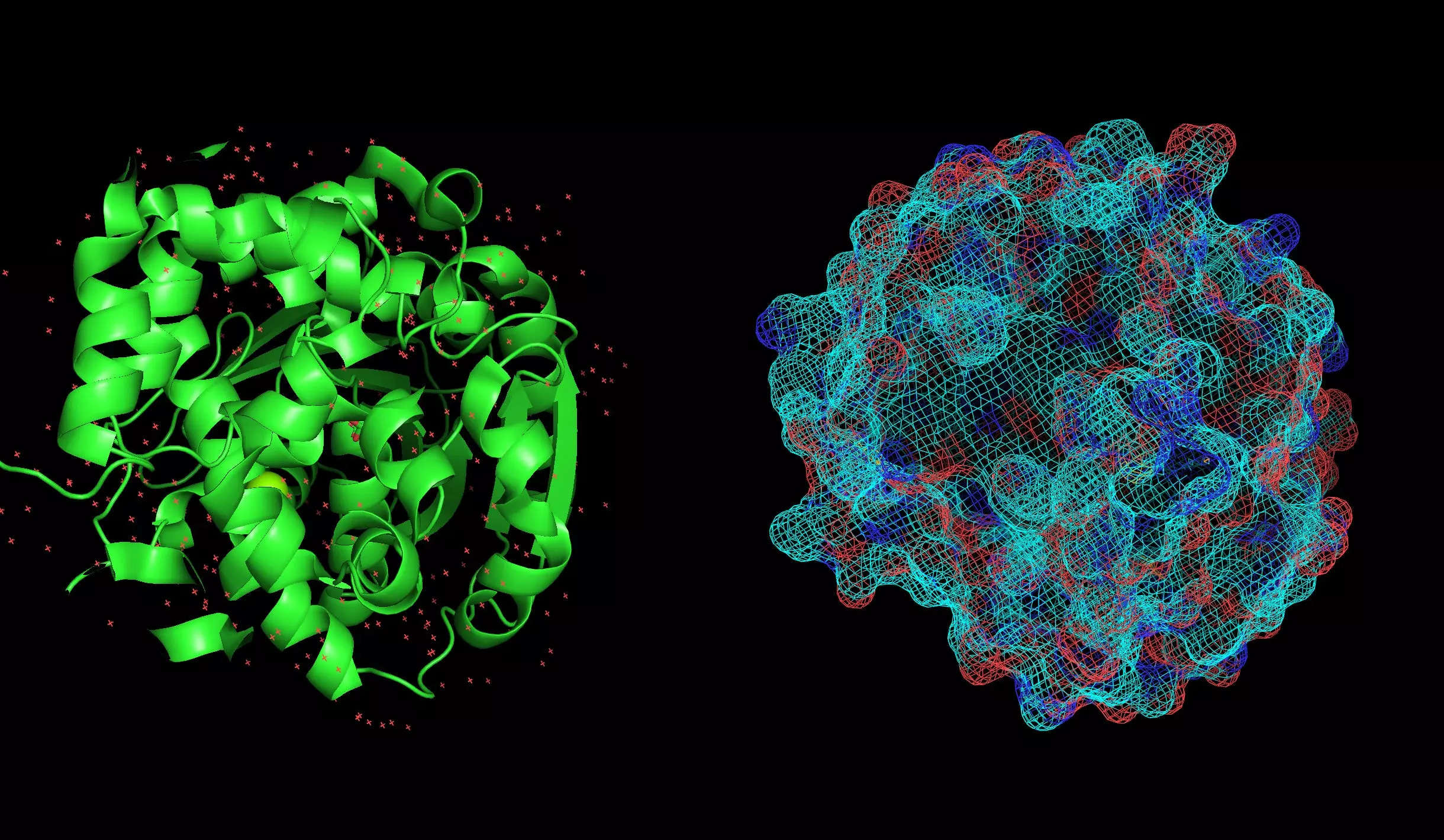 Visualisation of proteins in silico, made by Saif Ur-Rehman, Basecamp Research