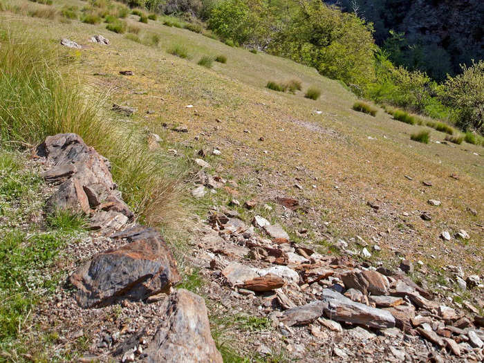 Over time, debris, rubble, grass, and other plants have grown over and into the forgotten acequias.