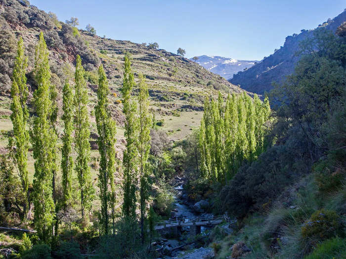 Without the acequias, the snowmelt would run into rivers and lakes that dry in the summer, and the water would have a shorter life.