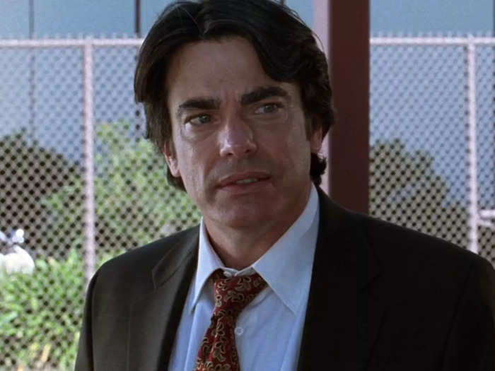 Peter Gallagher starred as Sandy Cohen, a public defender and the father of Seth.
