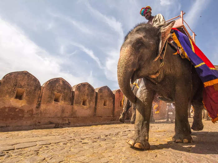 Rajasthan Fortresses