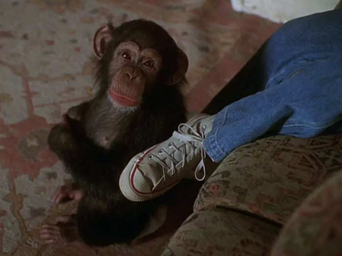 A chimpanzee is adopted by a human family in "The Jennie Project" (2001).