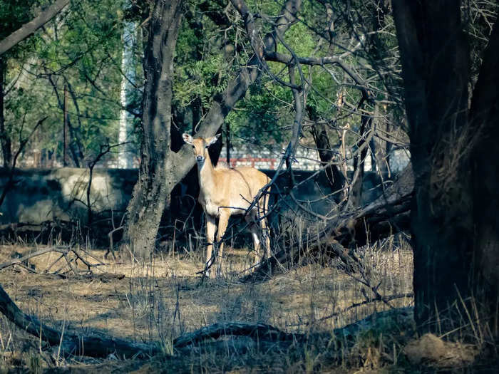  Sultanpur National Park