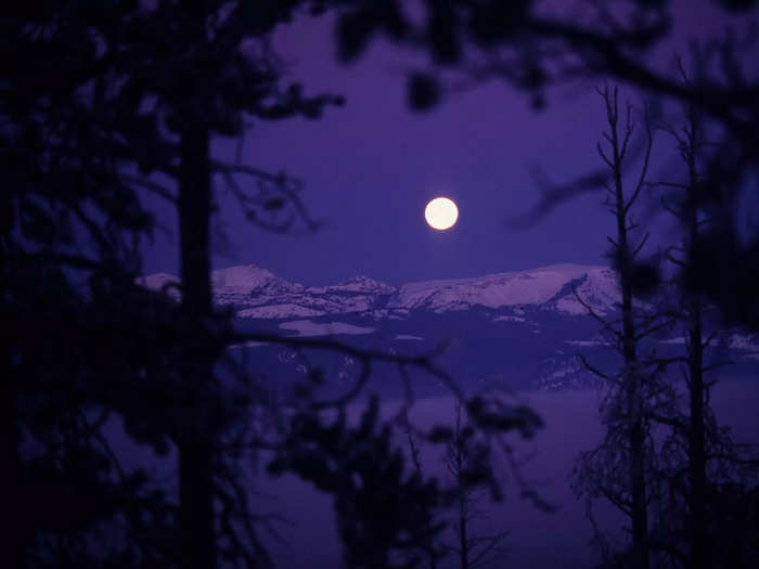 Wyoming: Yellowstone National Park