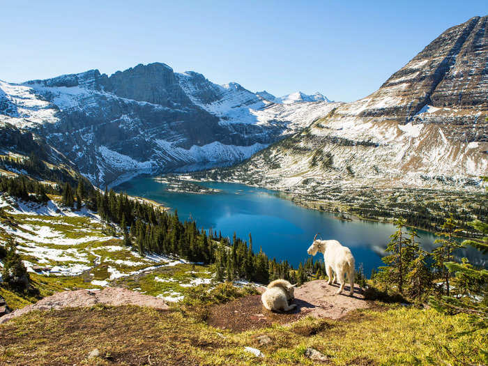 Montana: Glacier National Park, IDA-certified