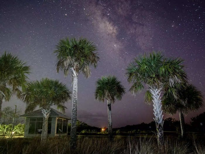 Florida: Big Cypress National Preserve, IDA-certified