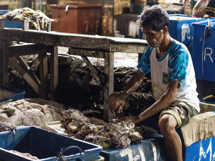 Puffers caught by fishermen on the coast of Cebu were being cleaned and sold off at the market.