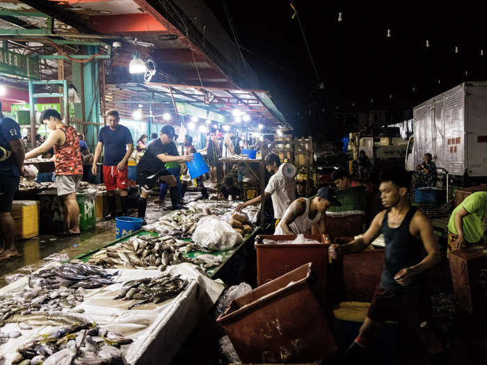 I arrived at the fish market in the heart of Cebu just before midnight.