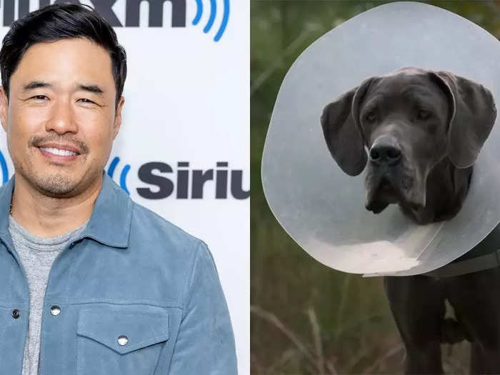 Randall Park voices a self-conscious Great Dane named Hunter who has a crush on Maggie.