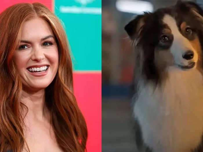 Isla Fisher voices a wise Australian Shepherd named Maggie.