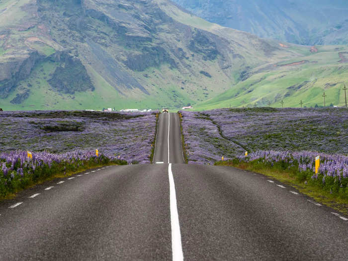 When I envisioned driving around Iceland, I pictured scenic mountain roads lined with wildflowers.