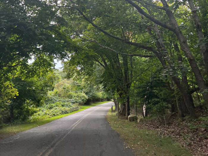 On our walk back to the car, a dog came running out of the woods and scared both of us — but he was just a friendly pet running back to his owner. Safe to say, we were both on edge.