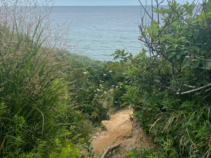 After about a mile, we glimpsed the ocean and a treacherous path that seemed to lead down to the water.