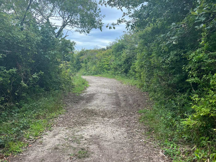 These woods really reminded me of the woods where Eleven was discovered during the "Stranger Things" pilot episode, and later the place she