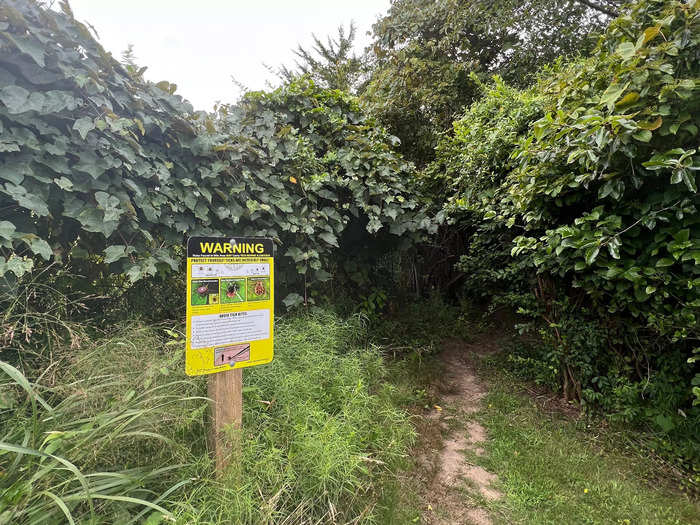 There seemed to be unofficial trails along the fence protecting the tower, but a sign warning about the dangers of ticks put me off getting any closer.