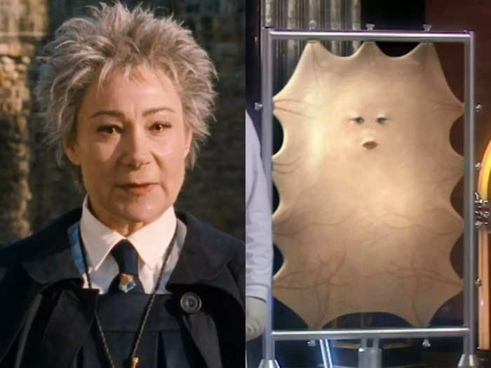 A few years after playing Hogwarts flying instructor Madam Hooch in the first "HP" movie, Zoë Wanamaker guest-starred on "Doctor Who."