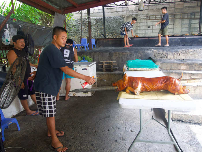 After roasting for several hours, the pig is perfectly uniform in color. A metal spike is plunged vertically into the pig