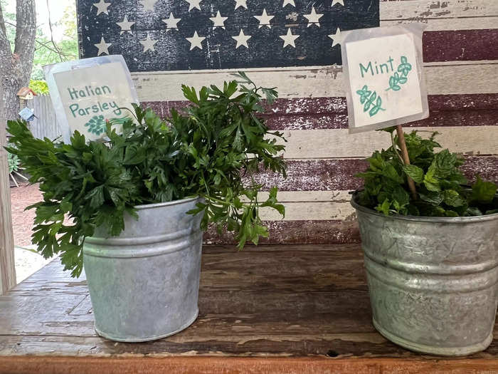 They also sell fresh herbs, like parsley and mint.