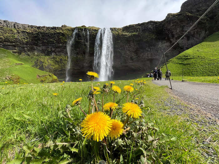 Instead, I played around with putting different objects in the foreground, creating a more three-dimensional shot with dandelions.