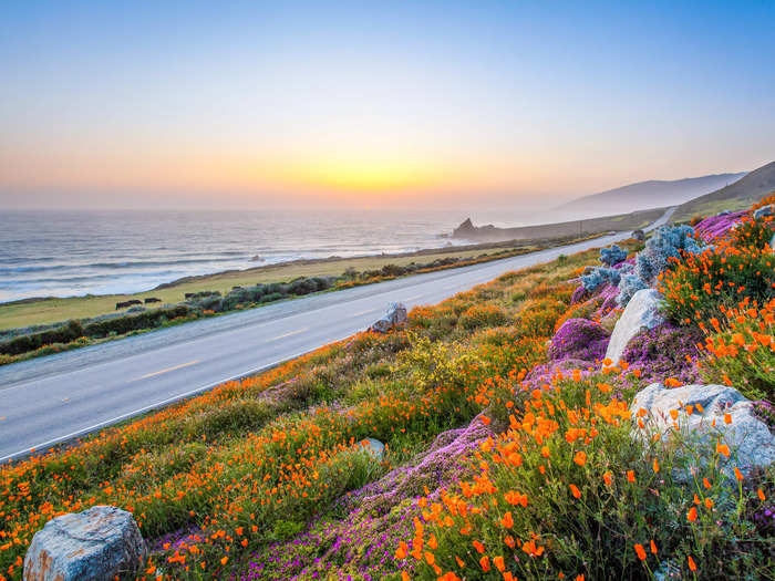 The West Coast provides countless terrains within a few hours