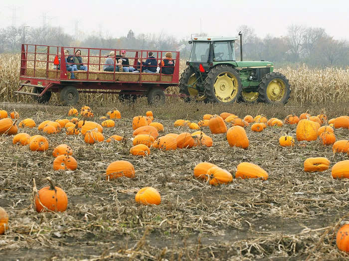 Hay rides are also a great way to spend a fall afternoon.