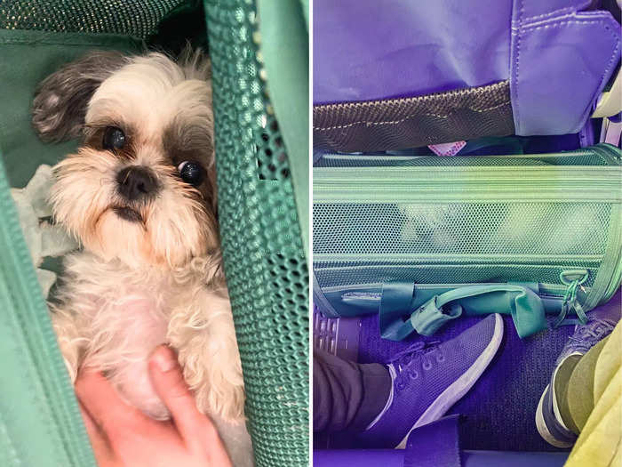 But when we fly, Miley is stuck inside her carrier in busy airports before and after bumpy flights.