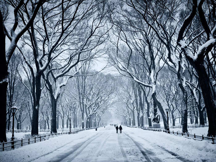 Wintertime in Central Park is also picturesque.