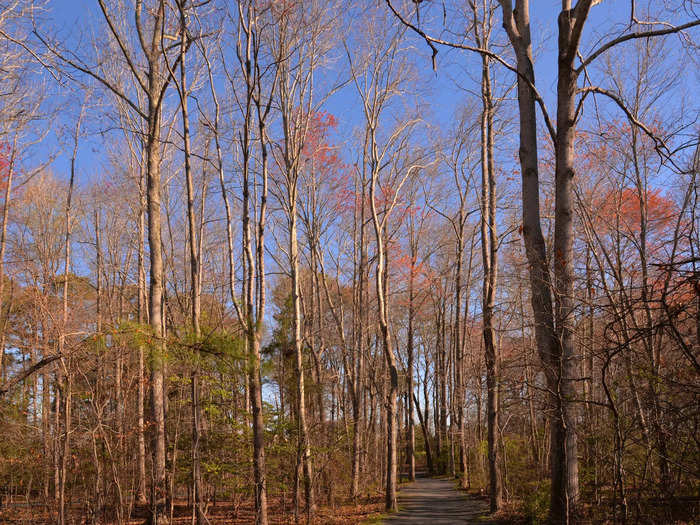 As the weather gets colder, Eastern Shore