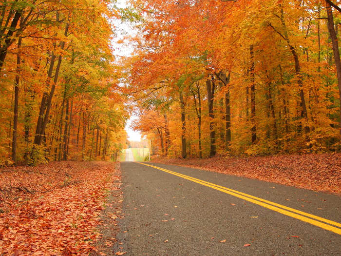 Travel + Leisure named Eastern Shore, Maryland, one of the best places to see fall foliage in the US.