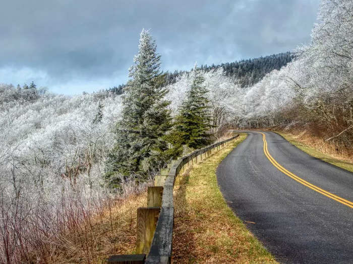 In the off season, the trees are white with snow, instead.