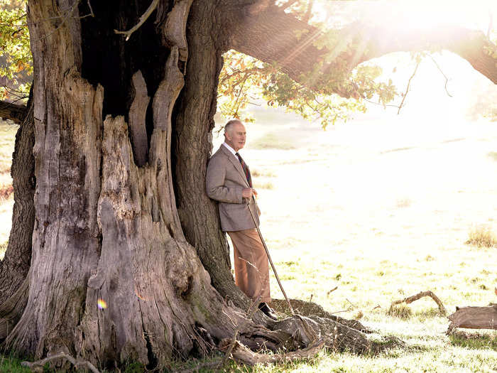 In an official portrait taken in November, Charles was photographed beside an ancient oak tree in Windsor Great Park.