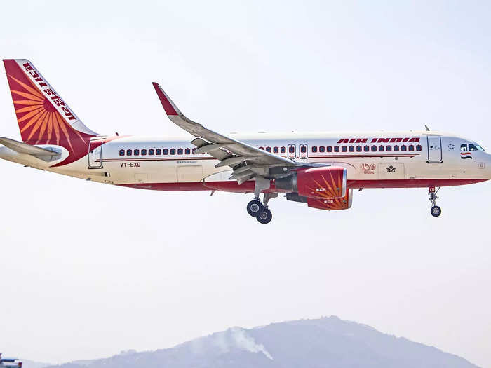 An Air India passenger behaved in a "repulsive manner" and reportedly defecated on the plane