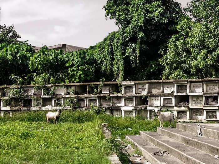 The Chinese Cemetery in Cebu — an island-province in central Philippines — is where dozens of people live in informal settlements.
