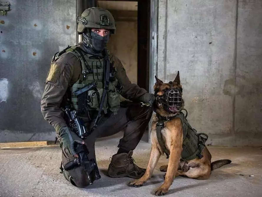 Solider and dog from the IDF