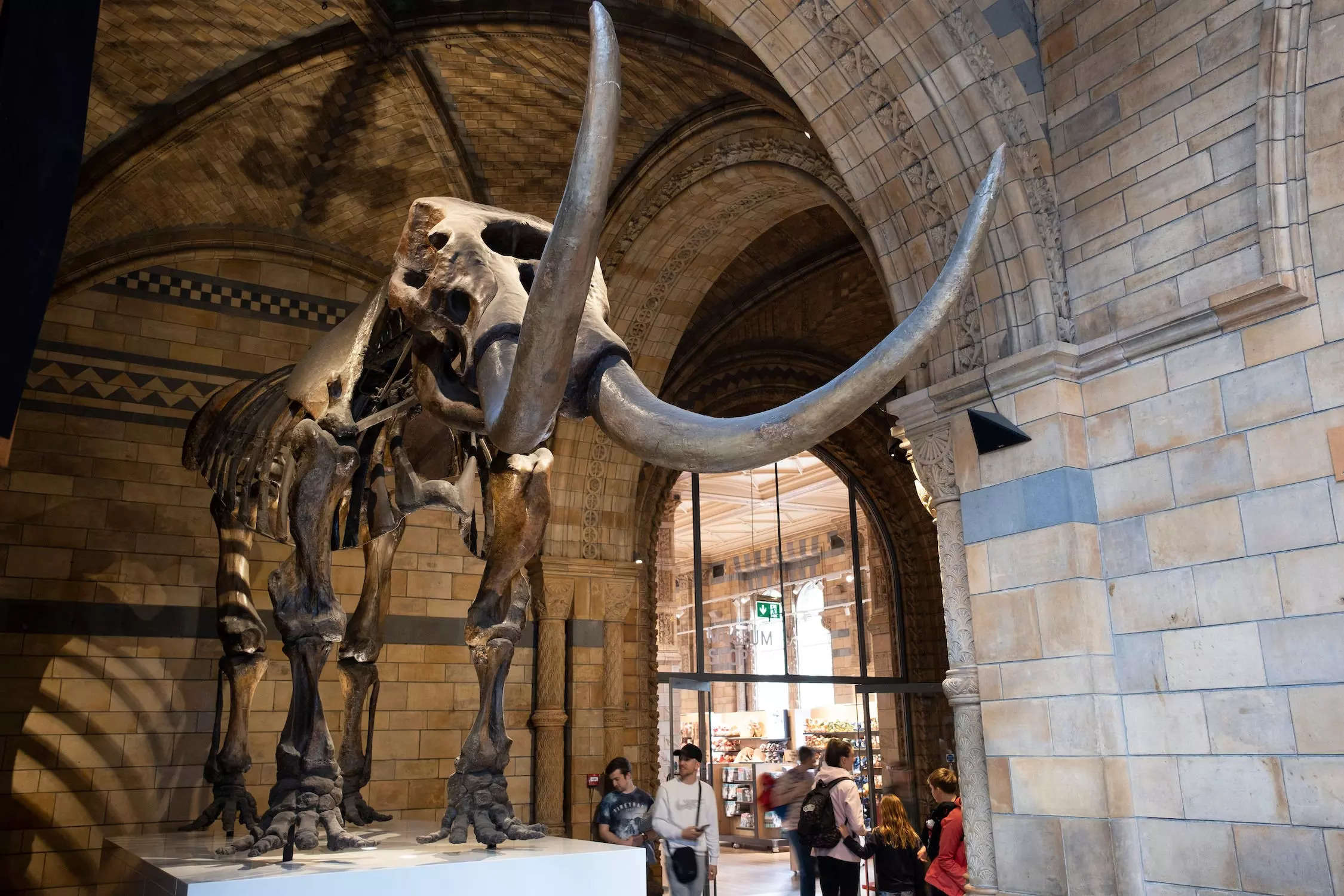 People look at the fossilized skeleton of an American Mastodon at the Natural History Museum