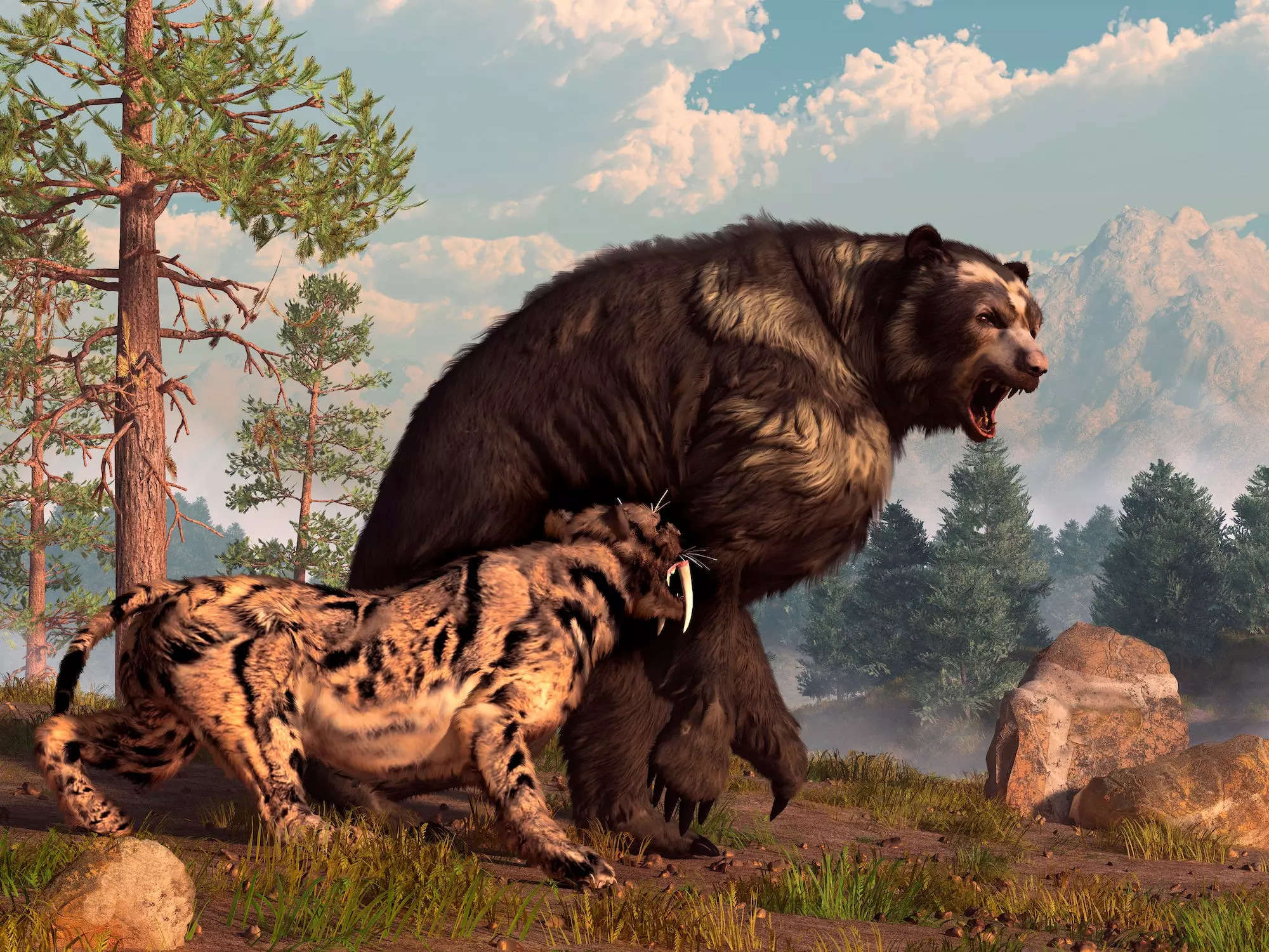 A saber-tooth cat and a short-faced bear roar at each other in an artist