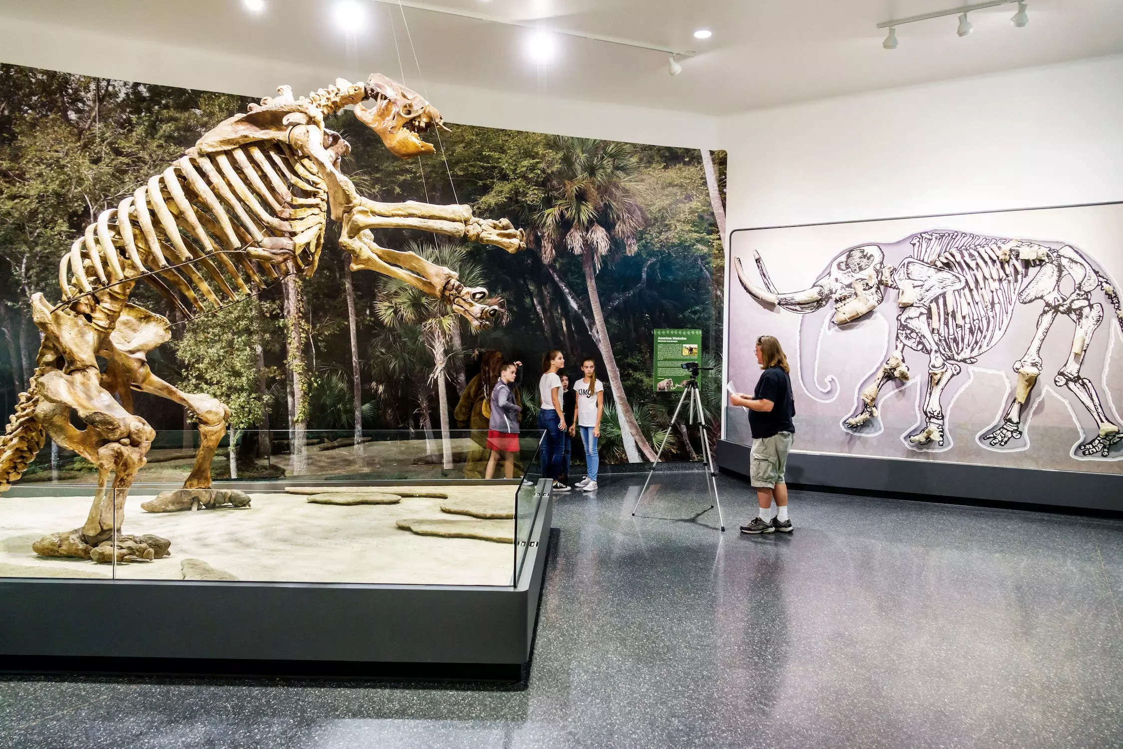 Visitors look at a large skeleton of a giant ground sloth in a museum in Florida